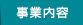 事業内容
