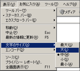Internet Explorer 5.5/6.0