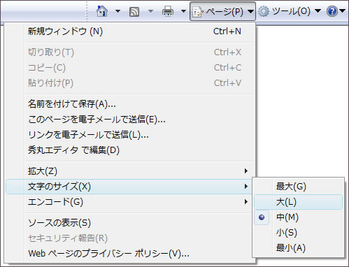 Internet Explorer 7.0